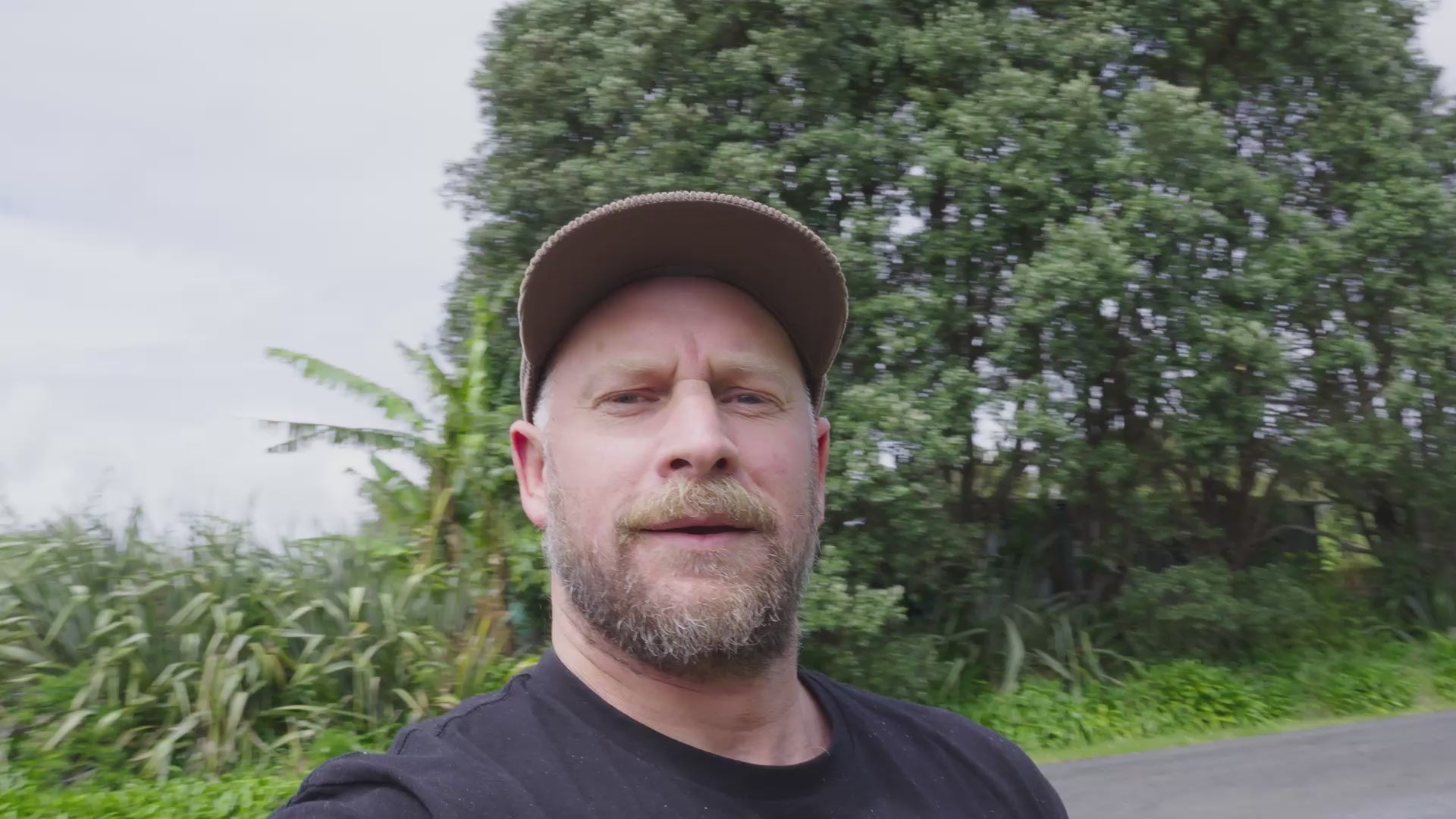 Load video: Refillable Air Fresheners - Sweet Aloha Cola